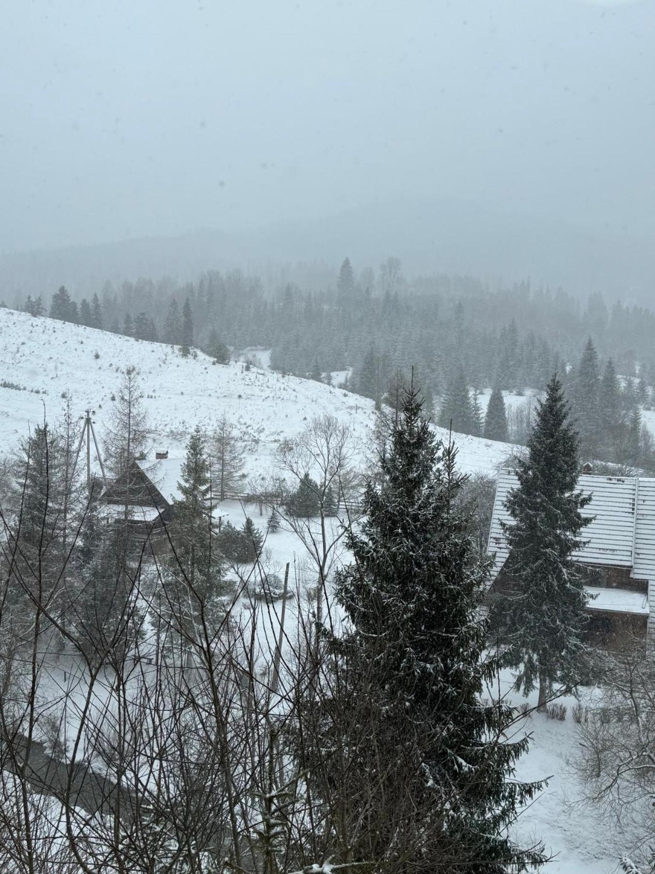 Georgiy Hotel Oryavchyk Luaran gambar